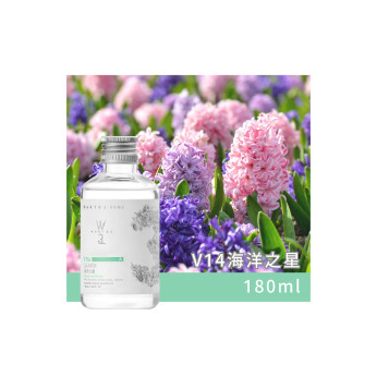 擴香補充液-海洋之星 V14