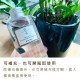 北歐擴香補充液 - 恣意青春 240ml