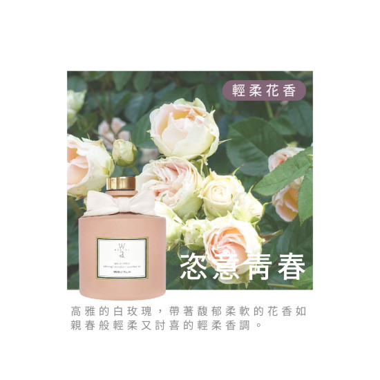 北歐擴香-恣意青春 VV-ER100-123