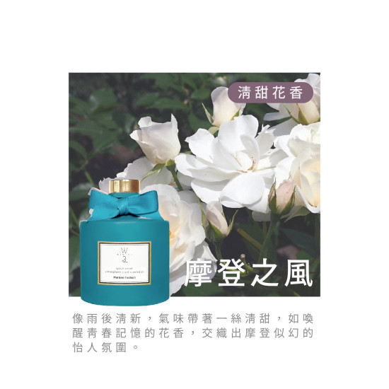 北歐擴香-摩登之風 VV-ER100-121