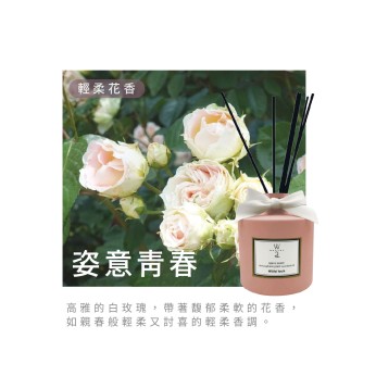 北歐擴香-恣意青春 VV-ER100-123