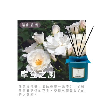 北歐擴香-摩登之風 VV-ER100-121