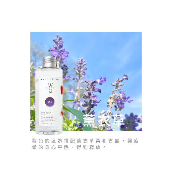 擴香補充液-薰衣草 V55