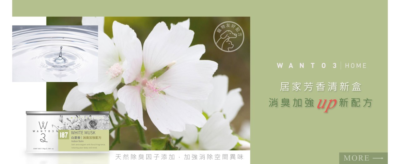 芳香清新盒新品上架