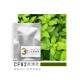 試香包-CF82歐薄荷 試香包-CF82歐薄荷