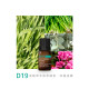 沒沒無蚊 10ml精油2罐 送 杯子香氛機 D19-2MD44