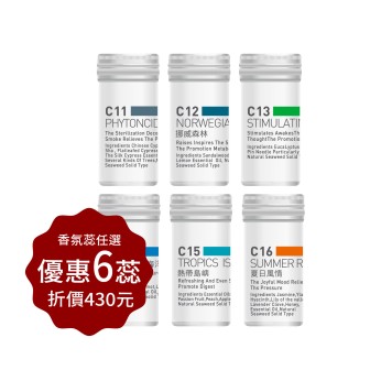 汽車香氛蕊多購優惠