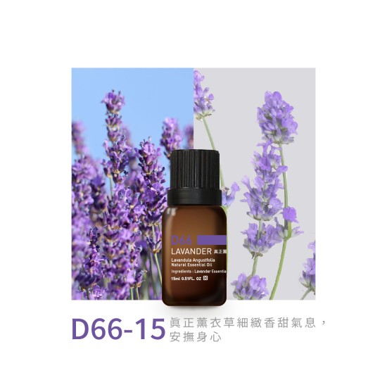 精油-D66-15真正薰衣草 精油-D66-15真正薰衣草
