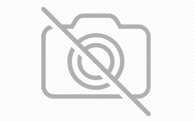 第 3 篇｜車內異味來源解析：用對香氛才能真正除味